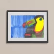 Toucan