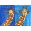 Giraffe Couple