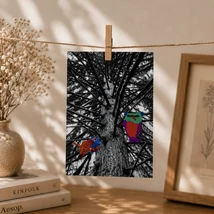 Tree-Pair