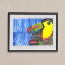 Toucan