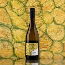 Etyeki Kúria Pláne Frizzante White